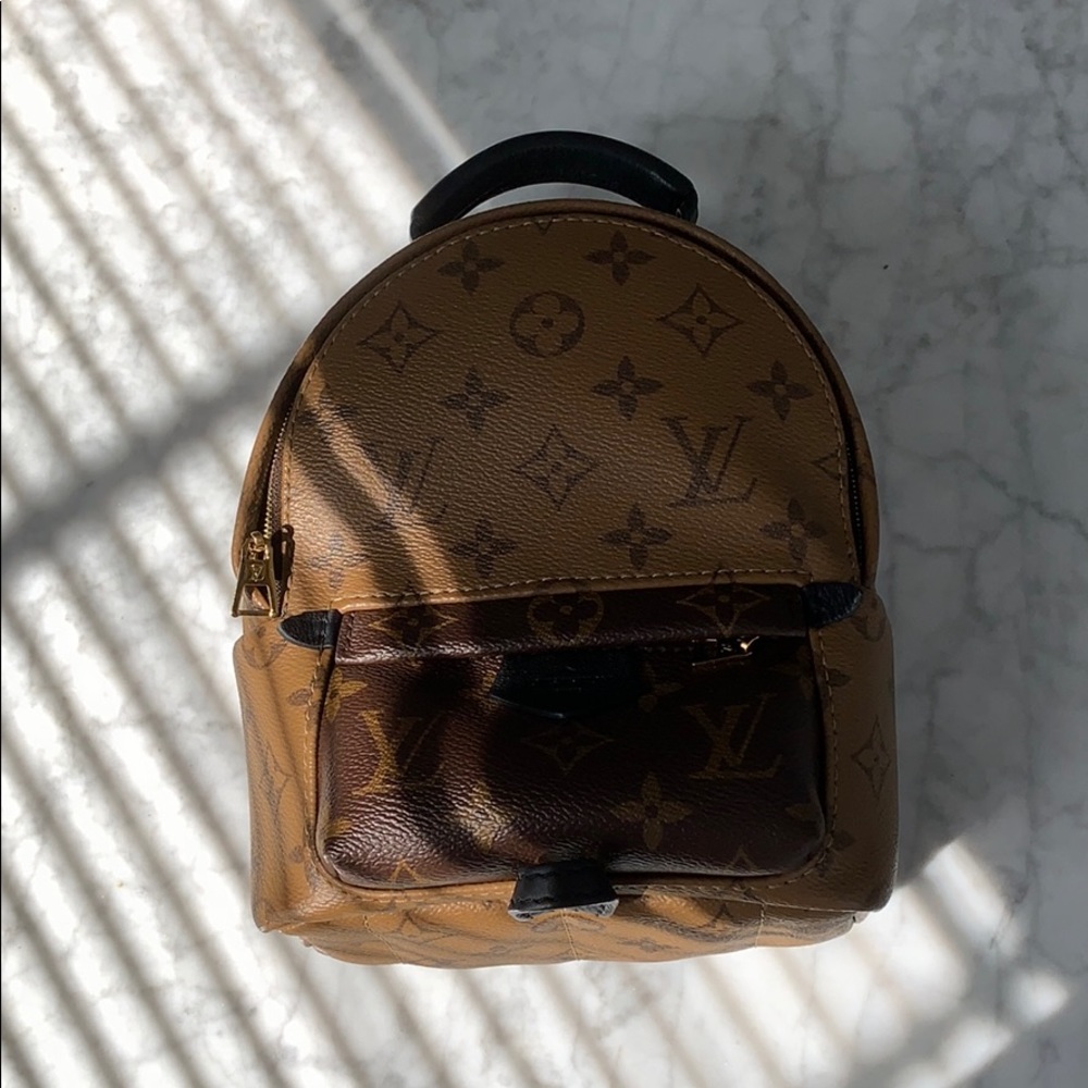 Louis Vuitton Palm Springs Mini Backpack